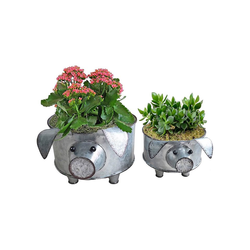 Galvanized Pig Planter