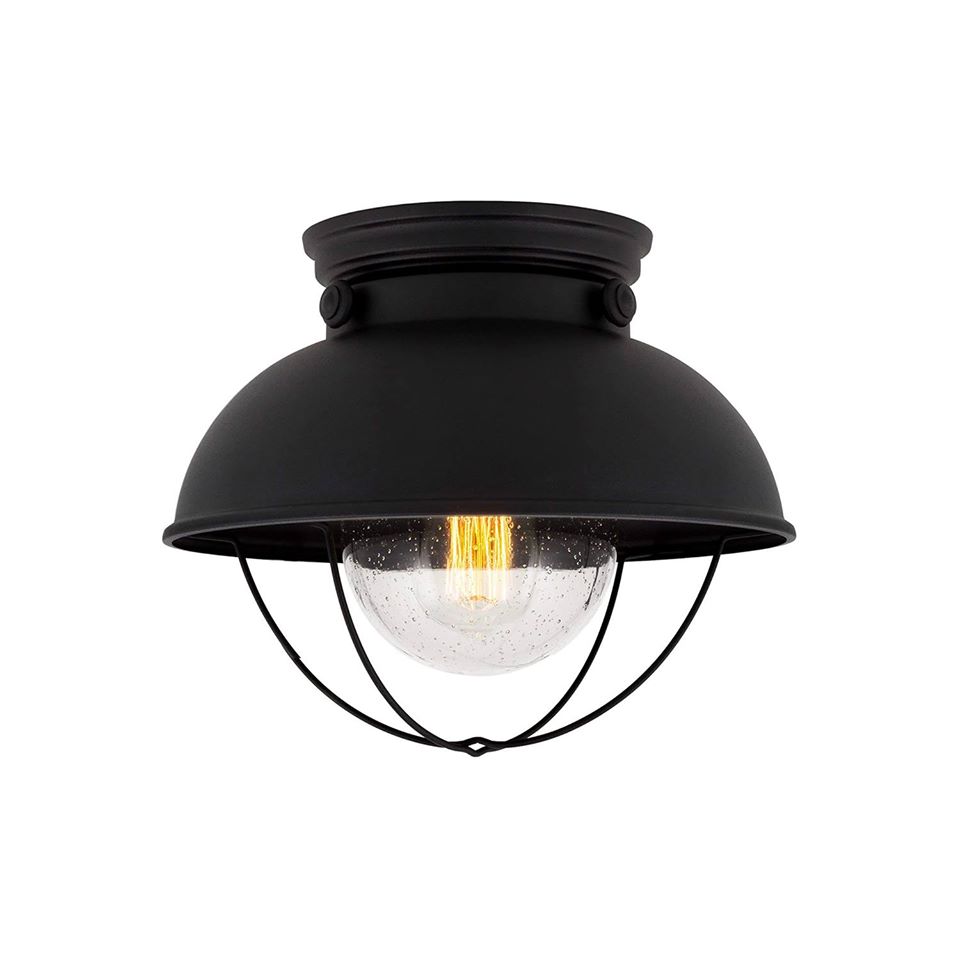 Flush Mount Ceiling Light 