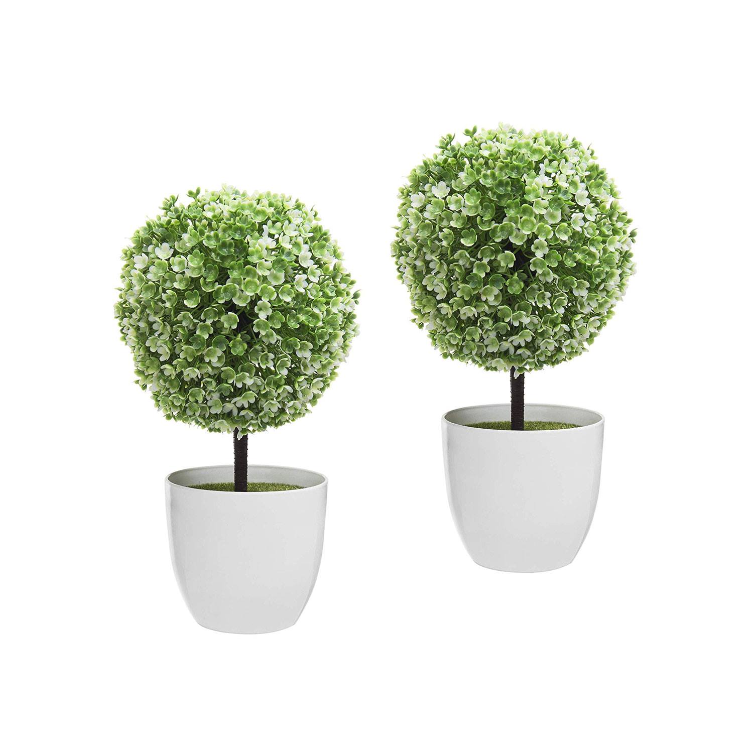 Tabletop Topiary Trees 