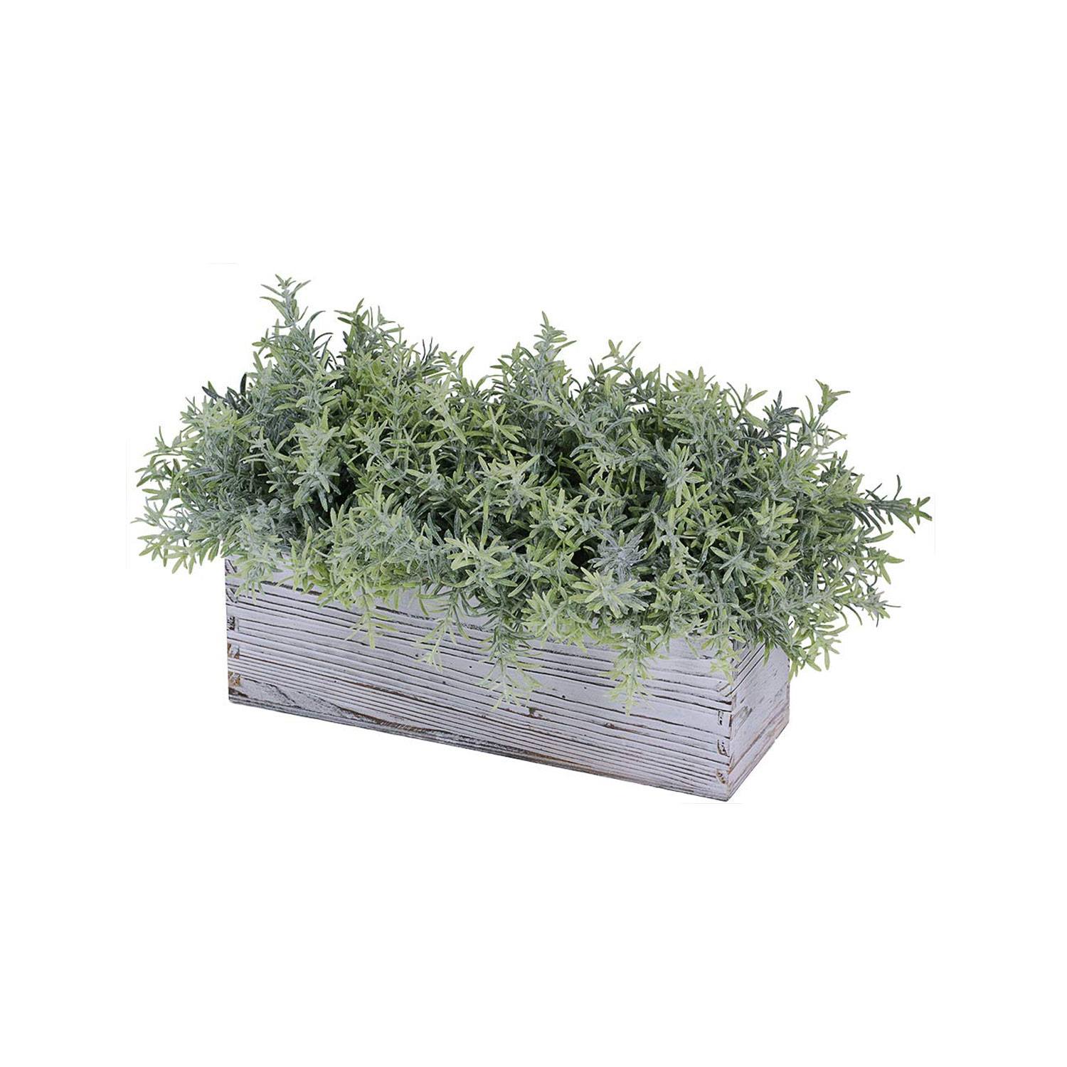 Rosemary