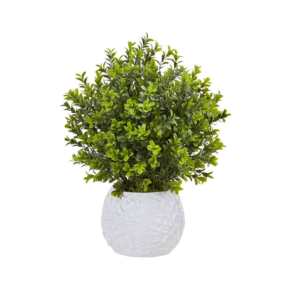 Boxwood Evergreen Artificial Plant