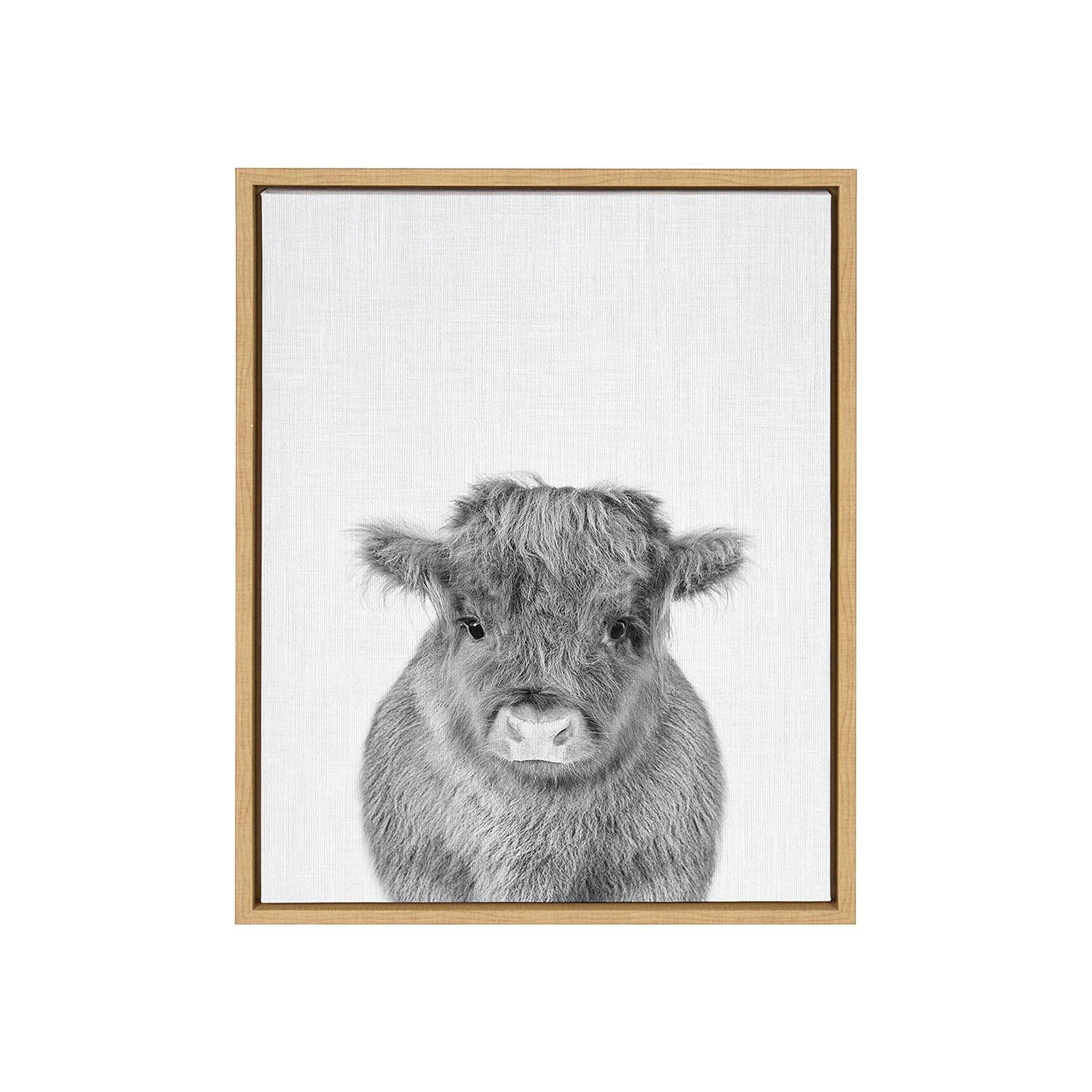 Baby Cow Framed Canvas