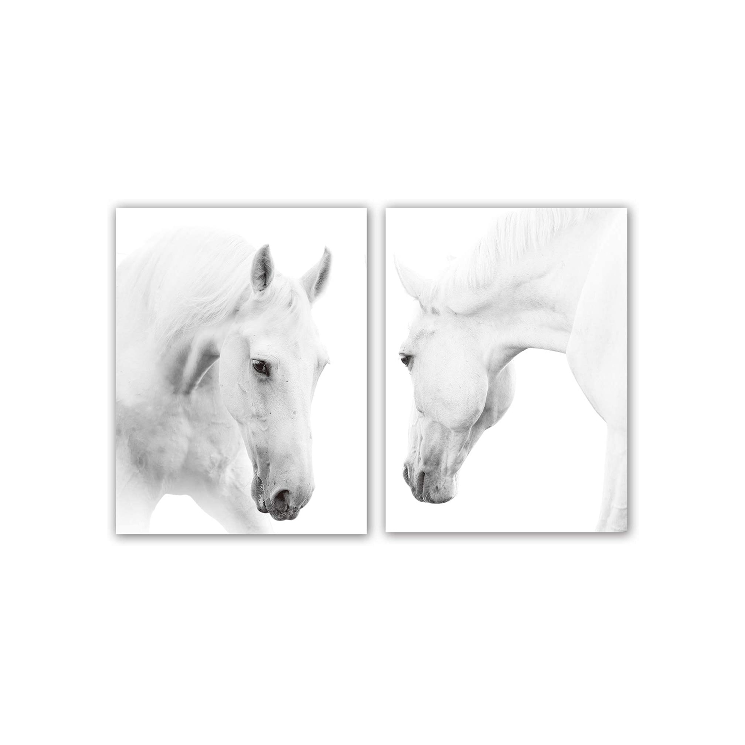 Horse Art Print Set of 2